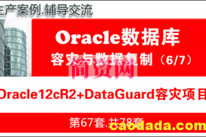 生产环境Oracle12cR2+DataGuard容灾安装与维护_Oracle数据库容灾与复制06