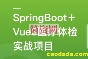 SpringBoot+Vue3+MySQL集群 开发大健康体检双系统 | 更新完结