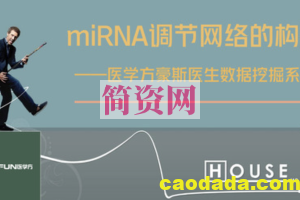 数据挖掘—miRNA调节网络的构建