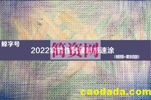 鲸字号关关雎鸠2022实验性肌理质感速涂【画质还行有素材没笔刷】