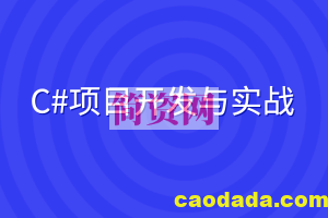 C#项目开发与实战