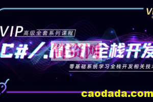 新阁-C#.NET全栈开发高级VIP班