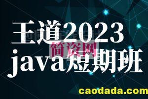 王道2023java短期班