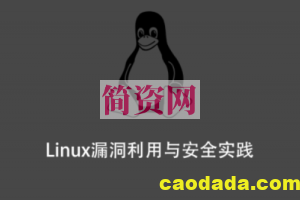 Linux漏洞利用与安全实践