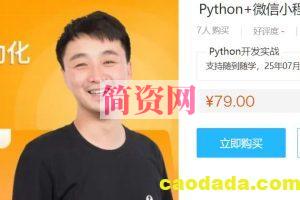 Python+微信小程序开发实战课，武沛齐WuSir视频