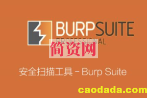 Burp Suite