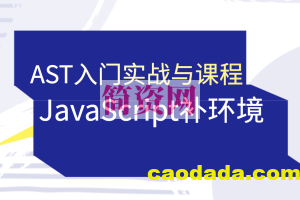蔡老板-AST入门实战与JavaScript补环境课程