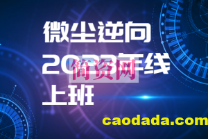 微尘逆向2023年线上班