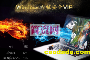 Windows内核安全VIP