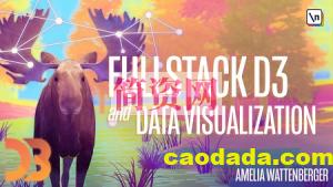 D3 完整开发者指南 Fullstack D3 Masterclass