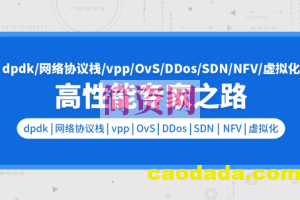 dpdk/网络协议栈/vpp/OvS/DDos/SDN/NFV/虚拟化/高性能专家之路