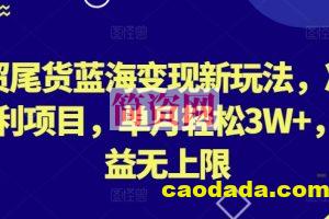 外贸尾货蓝海变现新玩法，冷门暴利项目，单月轻松3W+，收益无上限【揭秘】