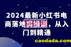 2024最新小红书电商落地实操课，从入门到精通