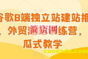 谷歌B端独立站建站推广，外贸建站训练营，傻瓜式教学