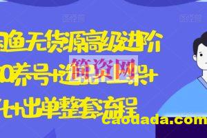 2024闲鱼无货源高级进阶卖货5.0.养号+选品+上架+优化+出单整套流程【揭秘】