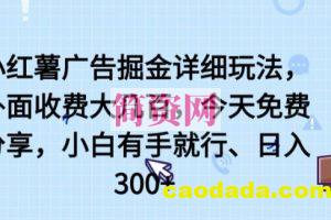 小红薯广告掘金详细玩法，外面收费大几百，小白有手就行，日入300+【揭秘】