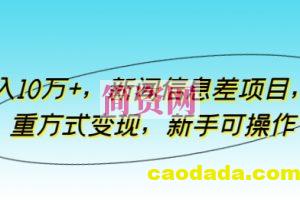 月入10万+，新闻信息差项目，多重方式变现，新手可操作【揭秘】