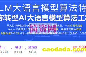 LLM大语言模型算法特训 带你转型AI大语言模型算法工程师