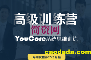 YouCore系统思维高级训练