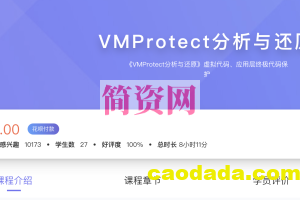 看雪-VMProtect分析与还原