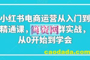 小红书电商运营从入门到精通课，电商店群实战，从0开始到学会