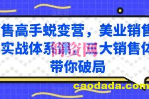 销售高手蜕变营，美业销售高手实战体系课，三大销售体系带你破局