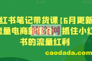 小红书笔记带货课【6月更新】流量电商新机会，抓住小红书的流量红利