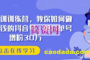 抖音实训训练营，教你如何做一个赚钱的抖音号，单日单号增粉30万