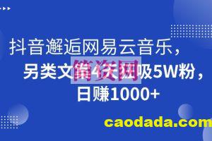 抖音邂逅网易云音乐，另类文案4天狂吸5W粉，日赚1000+【揭秘】