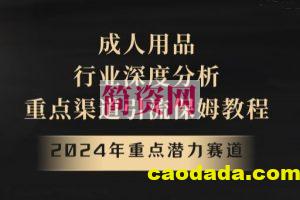 2024年重点潜力赛道，成人用品行业深度分析，重点渠道引流保姆教程【揭秘】