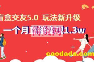 盲盒交友5.0，玩法全新升级，一个月直接变现1.3W，新手小白轻松上手【揭秘】