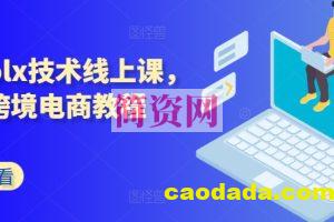 波兰olx技术线上课，kim跨境电商教程