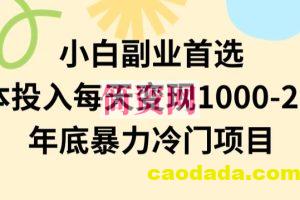 小白副业首选，0成本投入，每天变现1000-2000年底暴力冷门项目【揭秘】