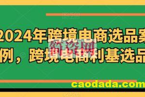 2024年跨境电商选品案例，跨境电商利基选品