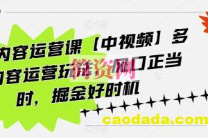 海外内容运营课【中视频】多种内容运营玩法，风口正当时，掘金好时机