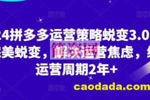 2024拼多多运营策略蜕变3.0，0-1完美蜕变，解决运营焦虑，缩短运营周期2年+