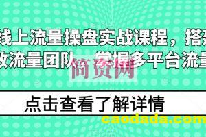 2024线上流量操盘实战课程，搭建高人效流量团队，掌握多平台流量