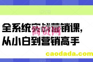 全系统实战营销课，从小白到营销高手