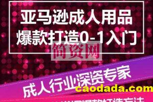 亚马逊成人用品爆款打造0-1入门，系统化讲解亚马逊成人用品爆款打造的流程