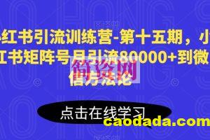 小红书引流训练营-第十五期，小红书矩阵号月引流80000+到微信方法论