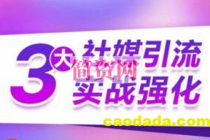 3大社媒引流实战强化，多渠道站外引流，高效精准获客，订单销售额翻倍增长