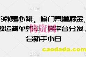 玩的就是心跳，偏门赛道掘金，视频搬运简单剪辑，多平台分发，适合新手小白【揭秘】