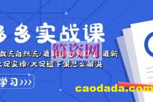 拼多多实战课：万人团玩法/截流自然流/最新强付费打法/最新原价卡大促..