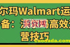 沃尔玛Walmart运营必备：沃尔玛高效运营技巧