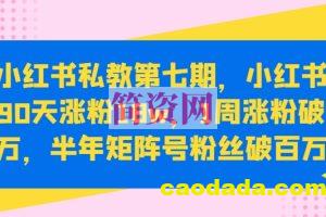 小红书私教第七期，小红书90天涨粉18w，1周涨粉破万，半年矩阵号粉丝破百万