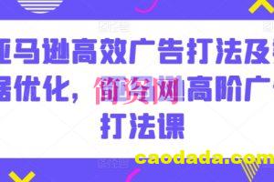 亚马逊高效广告打法及数据优化，亚马逊高阶广告打法课