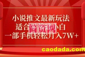 小说推文最新真人哭玩法，适合零基础小白，一部手机轻松月入7W+【揭秘】