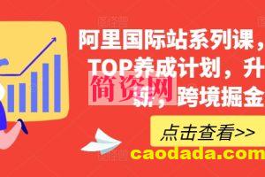 阿里国际站系列课，运营TOP养成计划，升职加薪，跨境掘金