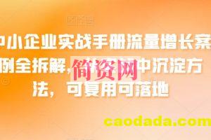 中小企业实战手册流量增长案例全拆解，从实战中沉淀方法，可复用可落地