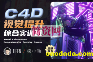 腾小渔 C4D视觉提升综合实训班2023